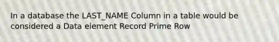 In a database the LAST_NAME Column in a table would be considered a Data element Record Prime Row