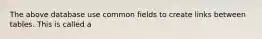 The above database use common fields to create links between tables. This is called a