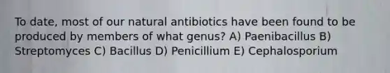 To date, most of our natural antibiotics have been found to be produced by members of what genus? A) Paenibacillus B) Streptomyces C) Bacillus D) Penicillium E) Cephalosporium