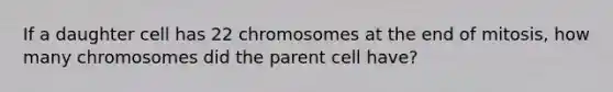 If a daughter cell has 22 chromosomes at the end of mitosis, how many chromosomes did the parent cell have?