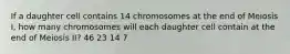 If a daughter cell contains 14 chromosomes at the end of Meiosis I, how many chromosomes will each daughter cell contain at the end of Meiosis II? 46 23 14 7