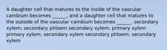 A daughter cell that matures to the inside of the vascular cambium becomes ______, and a daughter cell that matures to the outside of the vascular cambium becomes ______. secondary xylem; secondary phloem secondary xylem; primary xylem primary xylem; secondary xylem secondary phloem; secondary xylem