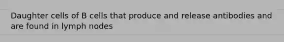 Daughter cells of B cells that produce and release antibodies and are found in lymph nodes
