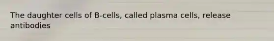 The daughter cells of B-cells, called plasma cells, release antibodies