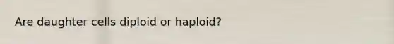 Are daughter cells diploid or haploid?