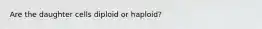 Are the daughter cells diploid or haploid?