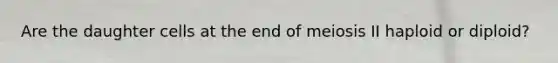 Are the daughter cells at the end of meiosis II haploid or diploid?