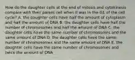 How do the daughter cells at the end of mitosis and cytokinesis compare with their parent cell when it was in the G1 of the cell cycle? A. the daughter cells have half the amount of cytoplasm and half the amount of DNA B. the daughter cells have half the number of chromosomes and half the amount of DNA C. the daughter cells have the same number of chromosomes and the same amount of DNA D. the daughter cells have the same number of chromosomes and the same amount of DNA E. the daughter cells have the same number of chromosomes and twice the amount of DNA