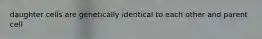 daughter cells are genetically identical to each other and parent cell