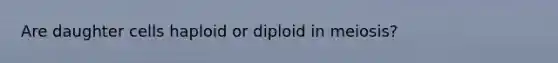 Are daughter cells haploid or diploid in meiosis?