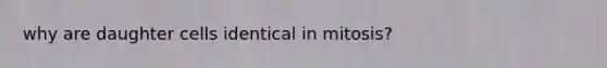 why are daughter cells identical in mitosis?