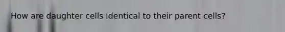 How are daughter cells identical to their parent cells?