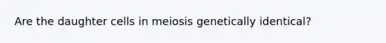 Are the daughter cells in meiosis genetically identical?