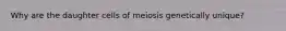 Why are the daughter cells of meiosis genetically unique?