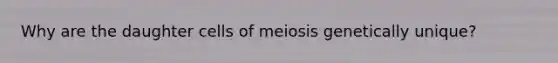 Why are the daughter cells of meiosis genetically unique?