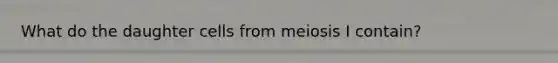 What do the daughter cells from meiosis I contain?