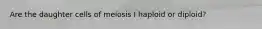 Are the daughter cells of meiosis I haploid or diploid?