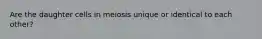 Are the daughter cells in meiosis unique or identical to each other?
