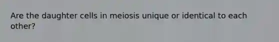 Are the daughter cells in meiosis unique or identical to each other?