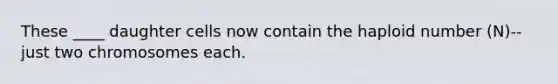 These ____ daughter cells now contain the haploid number (N)--just two chromosomes each.