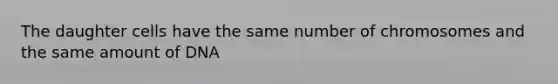 The daughter cells have the same number of chromosomes and the same amount of DNA