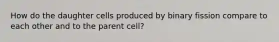 How do the daughter cells produced by binary fission compare to each other and to the parent cell?