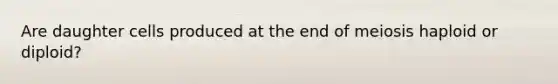 Are daughter cells produced at the end of meiosis haploid or diploid?