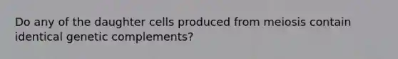 Do any of the daughter cells produced from meiosis contain identical genetic complements?