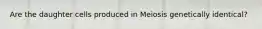 Are the daughter cells produced in Meiosis genetically identical?