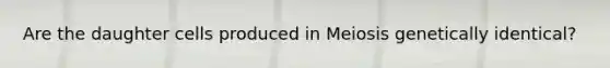 Are the daughter cells produced in Meiosis genetically identical?