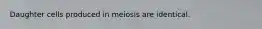 Daughter cells produced in meiosis are identical.