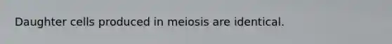 Daughter cells produced in meiosis are identical.