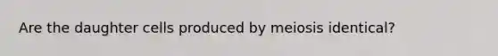 Are the daughter cells produced by meiosis identical?