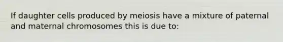 If daughter cells produced by meiosis have a mixture of paternal and maternal chromosomes this is due to: