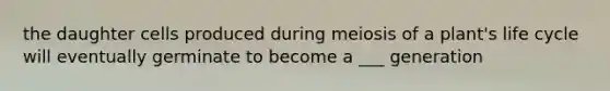 the daughter cells produced during meiosis of a plant's life cycle will eventually germinate to become a ___ generation