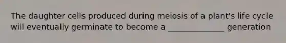 The daughter cells produced during meiosis of a plant's life cycle will eventually germinate to become a ______________ generation