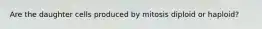 Are the daughter cells produced by mitosis diploid or haploid?