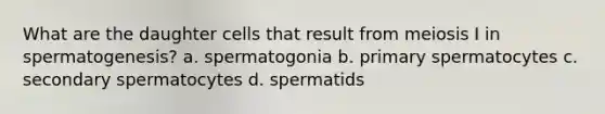 What are the daughter cells that result from meiosis I in spermatogenesis? a. spermatogonia b. primary spermatocytes c. secondary spermatocytes d. spermatids