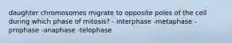 daughter chromosomes migrate to opposite poles of the cell during which phase of mitosis? - interphase -metaphase -prophase -anaphase -telophase