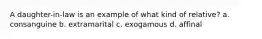 A daughter-in-law is an example of what kind of relative? a. consanguine b. extramarital c. exogamous d. affinal