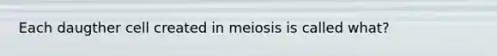 Each daugther cell created in meiosis is called what?