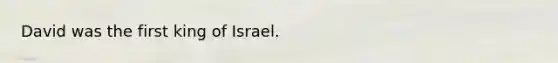 David was the first king of Israel.