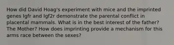 How did David Hoag's experiment with mice and the imprinted genes Igfr and Igf2r demonstrate the parental conflict in placental mammals. What is in the best interest of the father? The Mother? How does imprinting provide a mechanism for this arms race between the sexes?