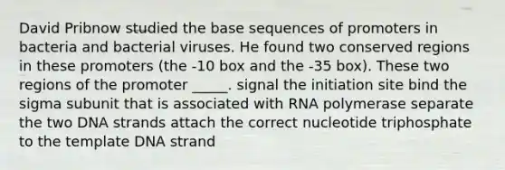 David Pribnow studied the base sequences of promoters in bacteria and bacterial viruses. He found two conserved regions in these promoters (the -10 box and the -35 box). These two regions of the promoter _____. signal the initiation site bind the sigma subunit that is associated with RNA polymerase separate the two DNA strands attach the correct nucleotide triphosphate to the template DNA strand