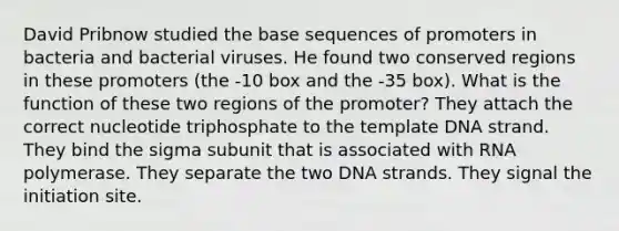 David Pribnow studied the base sequences of promoters in bacteria and bacterial viruses. He found two conserved regions in these promoters (the -10 box and the -35 box). What is the function of these two regions of the promoter? They attach the correct nucleotide triphosphate to the template DNA strand. They bind the sigma subunit that is associated with RNA polymerase. They separate the two DNA strands. They signal the initiation site.