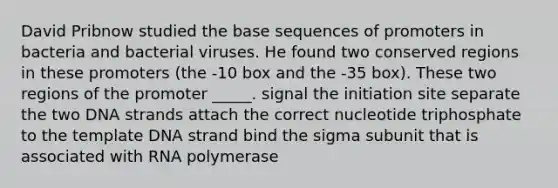 David Pribnow studied the base sequences of promoters in bacteria and bacterial viruses. He found two conserved regions in these promoters (the -10 box and the -35 box). These two regions of the promoter _____. signal the initiation site separate the two DNA strands attach the correct nucleotide triphosphate to the template DNA strand bind the sigma subunit that is associated with RNA polymerase