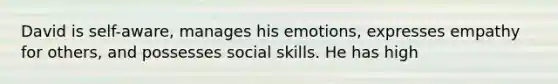 David is self-aware, manages his emotions, expresses empathy for others, and possesses social skills. He has high