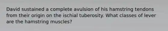 David sustained a complete avulsion of his hamstring tendons from their origin on the ischial tuberosity. What classes of lever are the hamstring muscles?