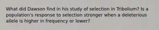 What did Dawson find in his study of selection in Tribolium? Is a population's response to selection stronger when a deleterious allele is higher in frequency or lower?