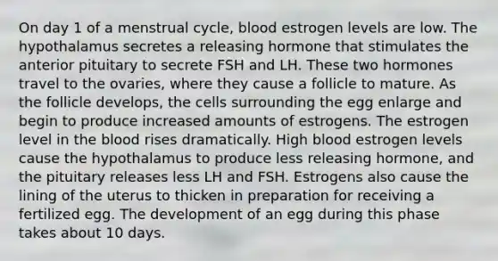 On day 1 of a menstrual cycle, blood estrogen levels are low. The hypothalamus secretes a releasing hormone that stimulates the anterior pituitary to secrete FSH and LH. These two hormones travel to the ovaries, where they cause a follicle to mature. As the follicle develops, the cells surrounding the egg enlarge and begin to produce increased amounts of estrogens. The estrogen level in <a href='https://www.questionai.com/knowledge/k7oXMfj7lk-the-blood' class='anchor-knowledge'>the blood</a> rises dramatically. High blood estrogen levels cause the hypothalamus to produce less releasing hormone, and the pituitary releases less LH and FSH. Estrogens also cause the lining of the uterus to thicken in preparation for receiving a fertilized egg. The development of an egg during this phase takes about 10 days.